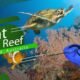 Great Barrier Reef Trailer by Roots Asa - Stunning Underwater Travel Video