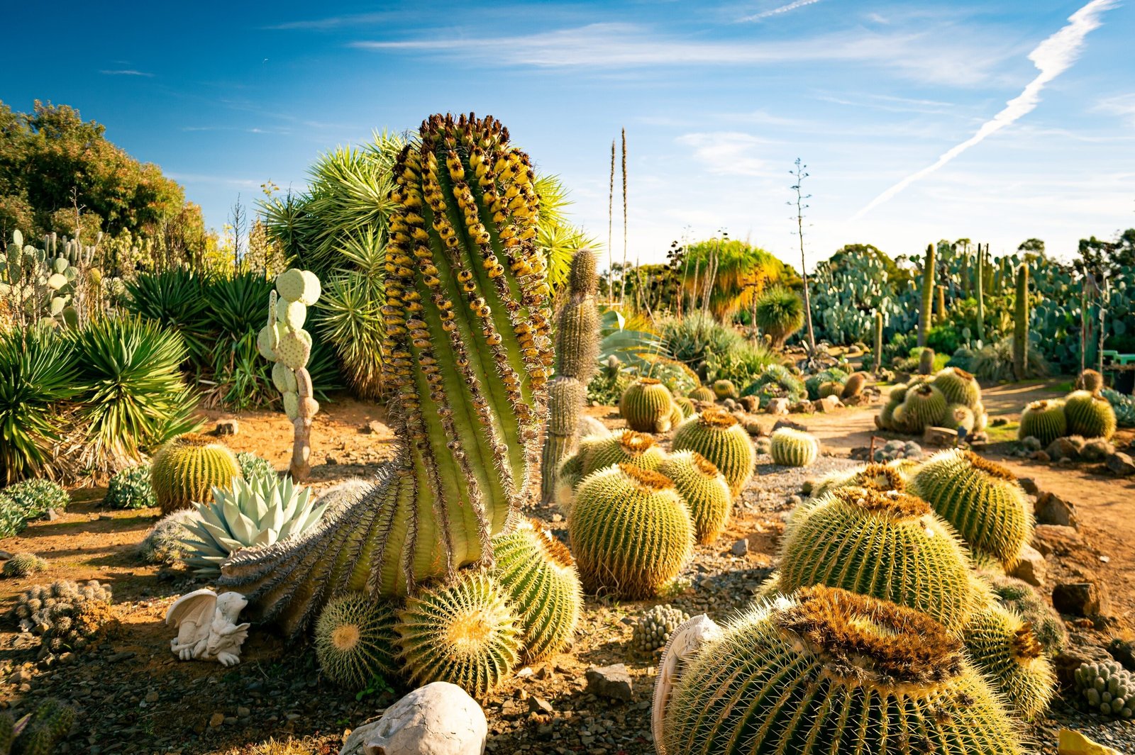 The 10 best secret gardens and parks in Melbourne