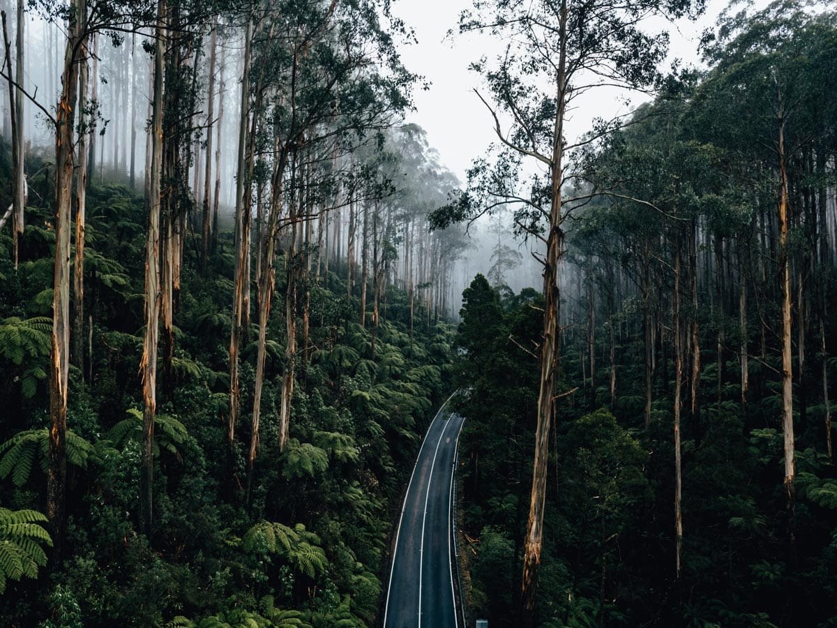 10 Victoria Road Trips You’ve Never Heard Of