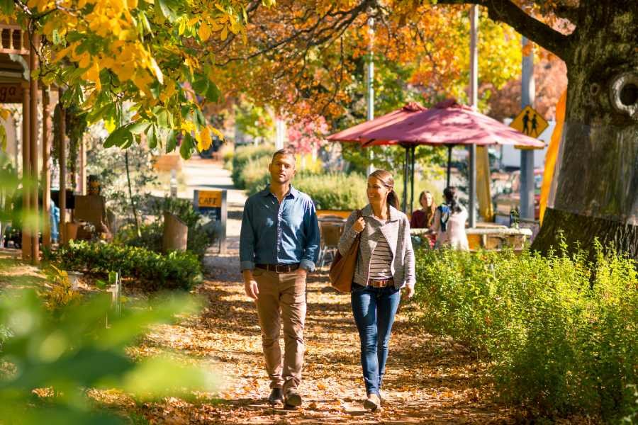 Prettiest and best places to see autumn leaves in Melbourne and regional Victoria in 2025  | RACV 