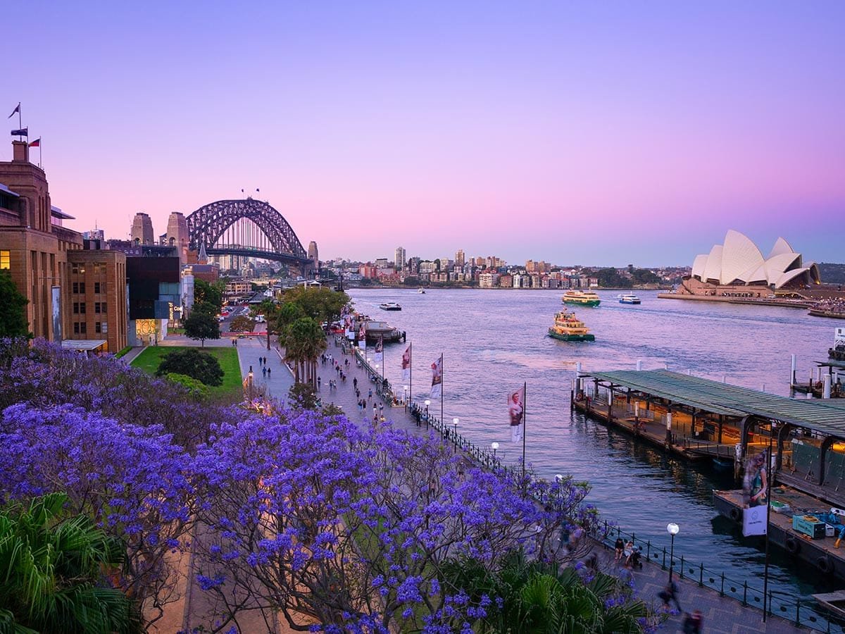 The 8 Best Places To See Jacarandas Around Australia