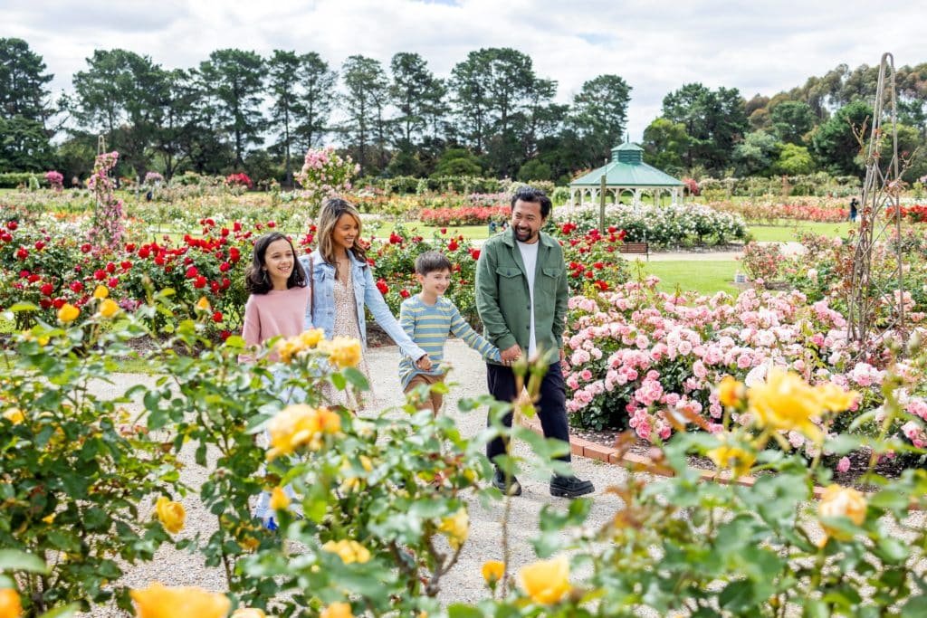 two adults and two children walking on a parth and surrounded by roses at the State Rose & Garden Show