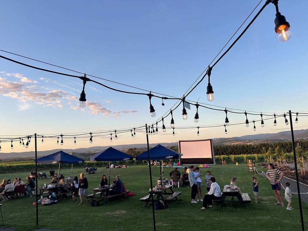Cinema in the Vines at Tokar Estate