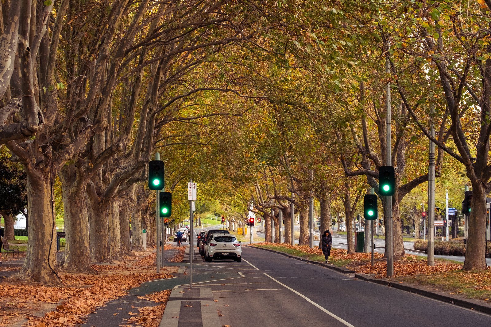 melbourne places to visit