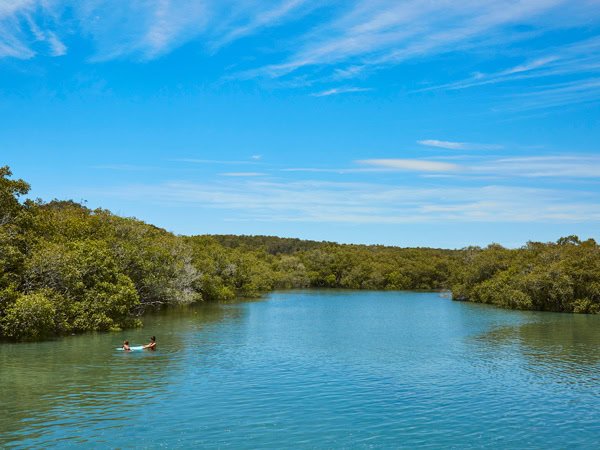 lush greenery surrounding Simpsons Creek