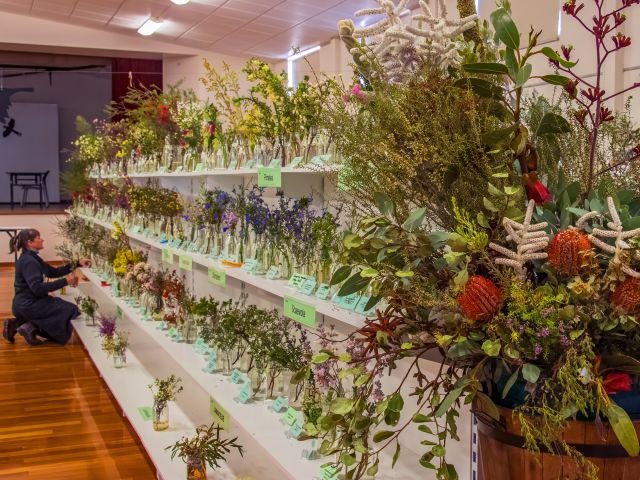 Ravensthorpe Wildflower Show in Western Australia